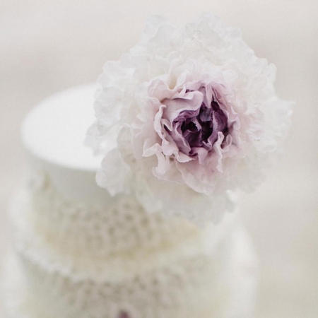 Imagem da loja: T Bakes